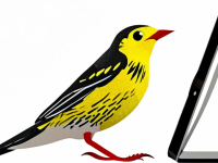 装机必备软件-速览_轻量_跨平台，必备软件，轻量级、跨平台 7