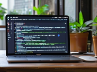 探索Linux环境下的安全隐私软件，终极推荐与替代方案，nux环境下的终极安全隐私软件探索与替代 7
